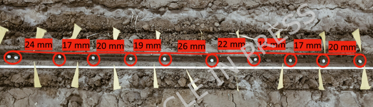 [Article in Press] USG distribution in the furrow.